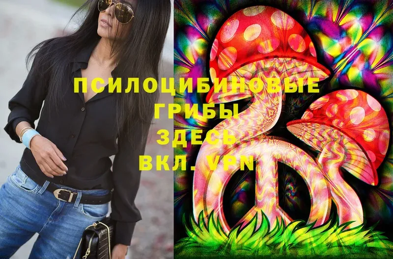 kraken вход  Усолье-Сибирское  Галлюциногенные грибы Psilocybe 